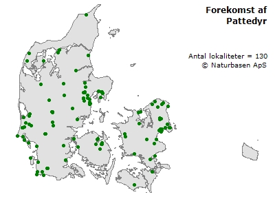 Forekomst af pattedyr